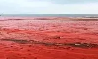 صحنه‌ای شگفت‌انگیز از بارش باران در جزیره هرمز 