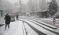 تصاویر دلنشین از اولین برف زمستانی در تهران
