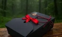 فروشگاه اینترنتی آقایی