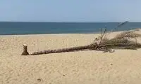 تصویری تاسف‌بار از نماد زندگی و گردشگری
