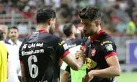 فرشته‌های نجات گل‌محمدی را بشناسید!
