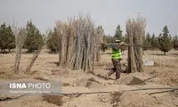 برنامه ایران برای ثبت یک رکورد عجیب در گینس