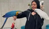 اعتراض شدید المیرا شریفی‌مقدم به گرانی خامه شکلاتی