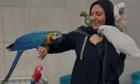 اعتراض شدید المیرا شریفی‌مقدم به گرانی خامه شکلاتی