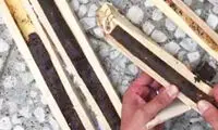 قاب عکس تریاکی به مقصد نرسید