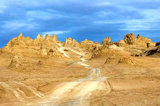 فسیل 100 میلیون‌ساله‌ای که در صحرای مغولستان پیدا شد