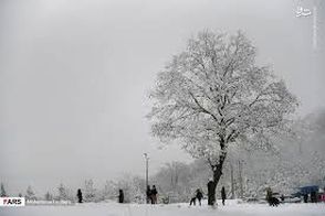 تصویر توجه‌برانگیز از حجم برف در دیواندره