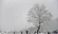 تصویر توجه‌برانگیز از حجم برف در دیواندره
