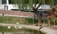 از امروز تهران خنک می‌شود 