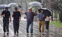 تصاویر بارش رگبار باران در شمال‌غرب تهران