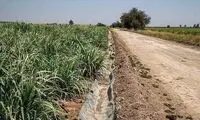 مزارع هفت‌تپه در آستانه خشکی قرار گرفت