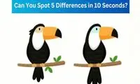 5 تفاوت این تصویر را در 10 ثانیه پیدا کنید