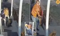 حمله وحشتناک راکون هار به دختر دانش‌آموز