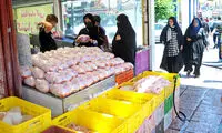 اصلاح قیمت مرغ در راه است؟