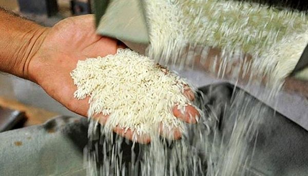 قیمت برنج به 120هزار تومان رسید، مبارک است!