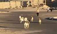 مرگ مبهم یک نوجوان در خراسان جنوبی