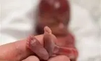 اخبار جدید از اجرایی‌شدن طرح جنجالی مجلس