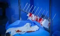 ماجرای پرواز یک قلب اهدایی از کرمان به تهران