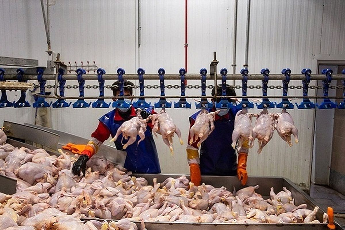 افزایش عجیب قیمت مرغ و گوشت در بازار