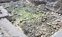 تصاویری دردناک از چشمه ۷هزارساله تهران که کاملا خشک شد!