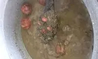شاهکار یک خانم خارجی در پخت قورمه‌سبزی سوژه شد