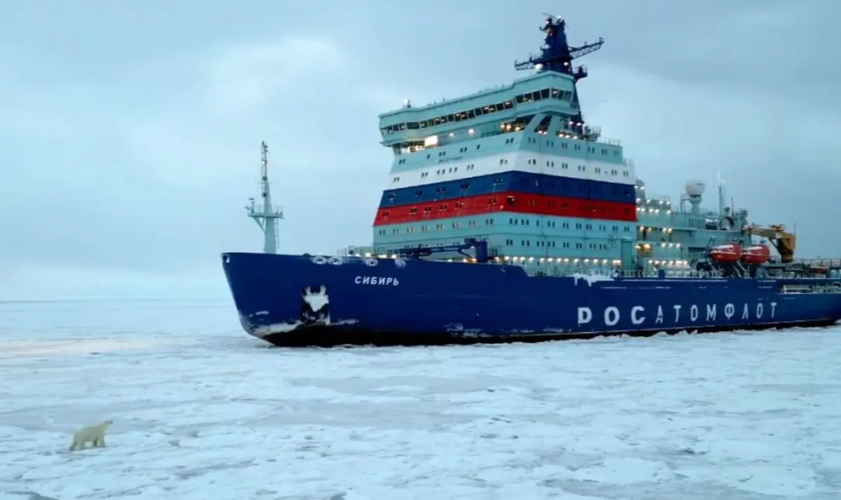 خرس قطبی برای پیدا کردن غذا سوار کشتی اتمی شد!