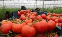 مفیدترین میوه و سبزیجات برای انسان معرفی شدند