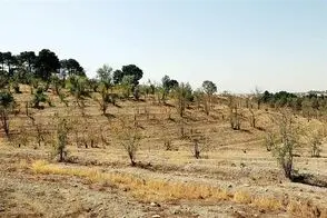  عذرخواهی تلخ از مردم برای فاجعه این روزهای تهران