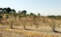  عذرخواهی تلخ از مردم برای فاجعه این روزهای تهران