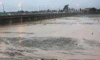 هلیل‌رودِ استان کرمان جان تازه‌ای گرفت