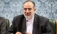 آشنا: ‏ایران می‌تواند «دکترین جوجه‌تیغی» را برگزیند