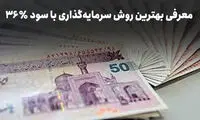 بهترین روش سرمایه‌گذاری با سود روزشمار و بازده ۳۶ درصد