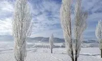 تصاویری از درختان برفی یخ‌زده در ترکیه