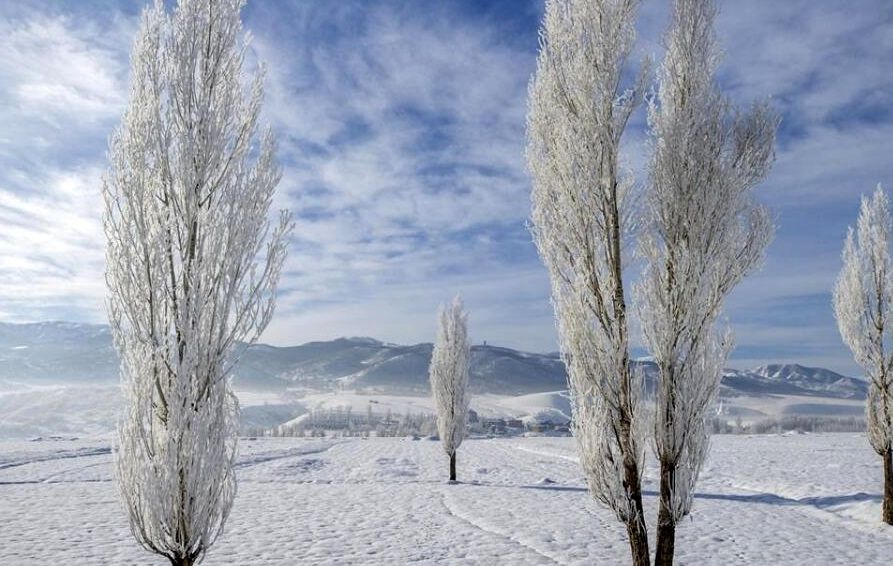 تصاویری از درختان برفی یخ‌زده در ترکیه
