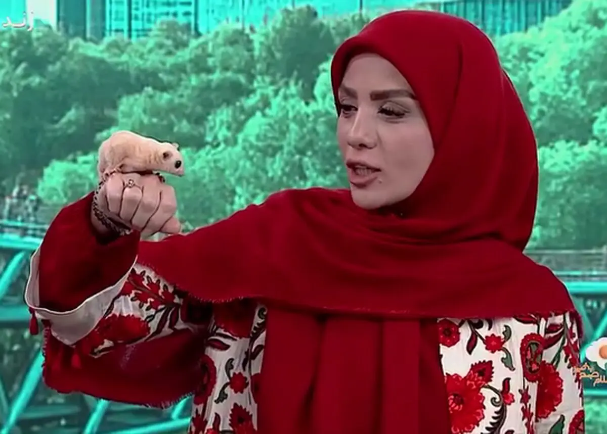 پارتی سنگین مبینا نصیری برای حضور در تلویزیون!