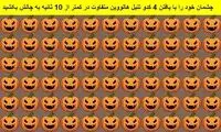 تست بینایی؛ ۴ کدو تنبل متفاوت را پیدا کنید