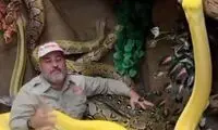 شجاعت عجیب یک مرد در میان مارهای غول‌پیکر