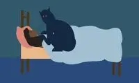 بختک چیست؟