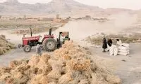 اولین تبعات خشک شدن دریاچه ارومیه آشکار شد