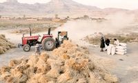 اولین تبعات خشک شدن دریاچه ارومیه آشکار شد