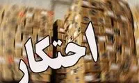 کشف بیش از 31 هزار تن کالای احتکاری در 10 روز