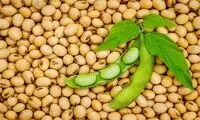 با این خوراکی از سرطان معده در امان باشید