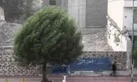 آغاز وزش باد و رگبار شدید در تهران