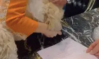 حرف‌های زن و شوهر کلیپ جنجالی مقابل دوربین 
