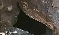  کشف گورستان سنگی دوره پیش از اسلام در گیلان