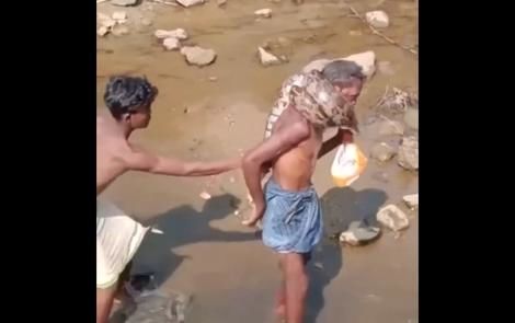 جدال یک پیرمرد هندی با مار پیتون 