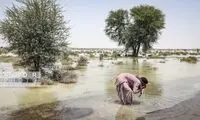 روستاییان سیستان، آب سیلاب می‌خورند! 