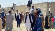 ماجرای حمله به افغانستانی‌های منطقه شهریار