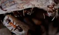 جهان به دست این‌ها اداره می‌شود!