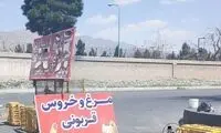 رونمایی از شغل خاصی که فقط در ایران وجود دارد!